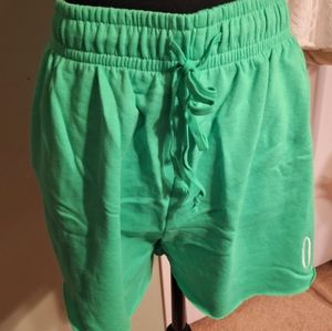 Women's Wild Fable Brand vibrant green, shorts size XL. OAHU, HONOLULU PRINT.